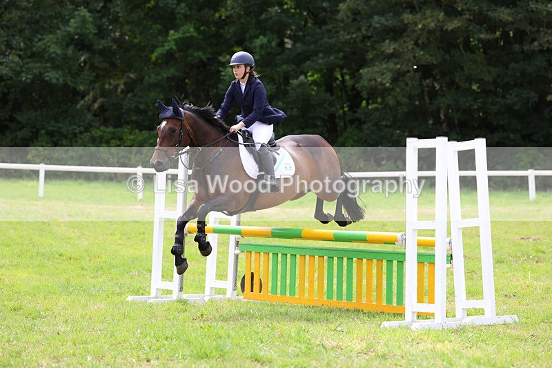 3E7A6962 - Class 5: Senior British Novice/90cm open