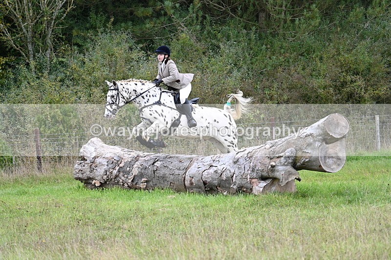 WJ7_3908 - Camera 1 Line 1