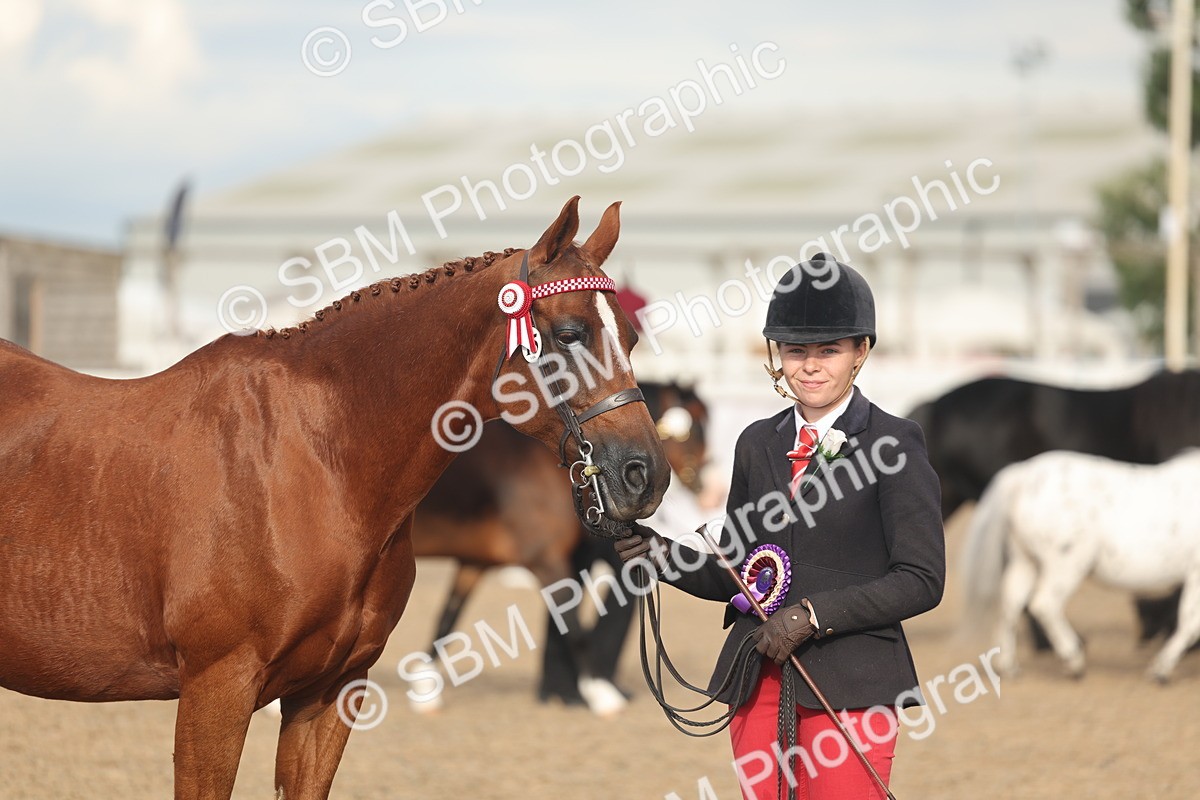 SBM_08600 - Class 29 - IH Veteran Pony
