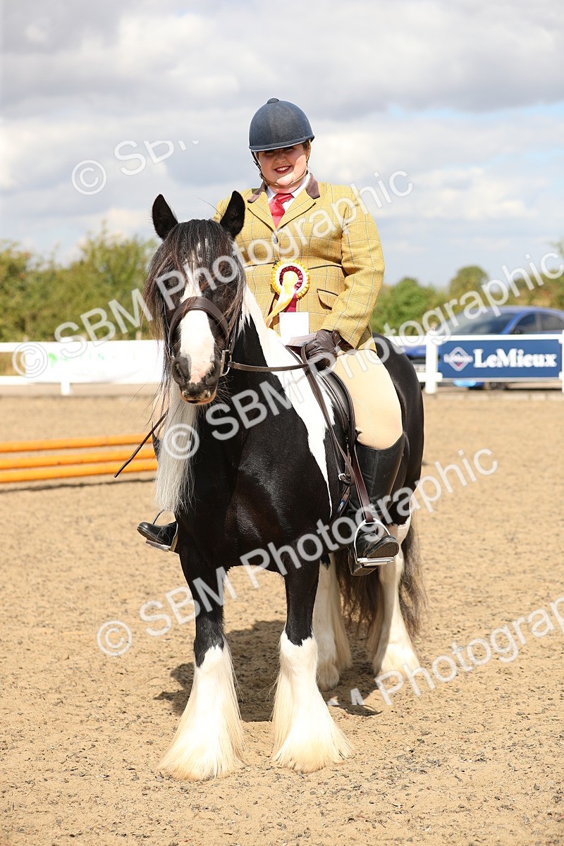 SBM_04275 - Class 46a Style & Performance 50cm (15-19)