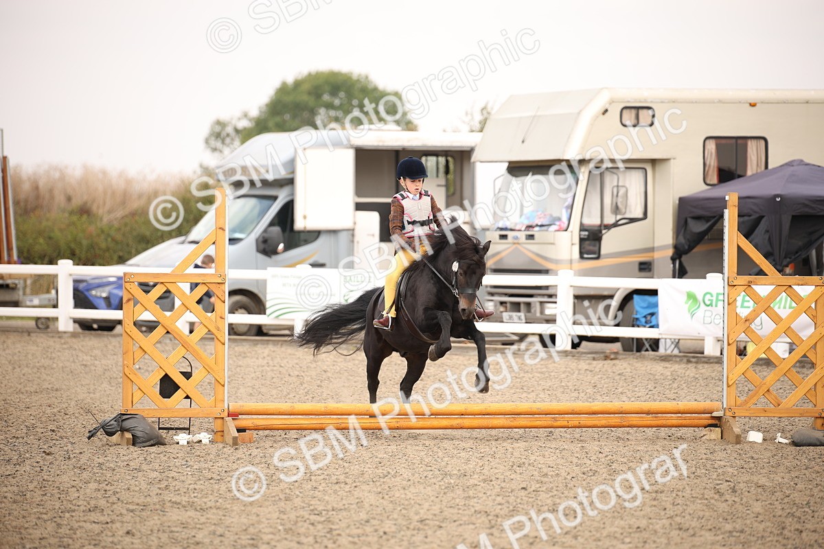 SBM_11722 - Class 404a Junior Working Veteran- 40cm (15-19)