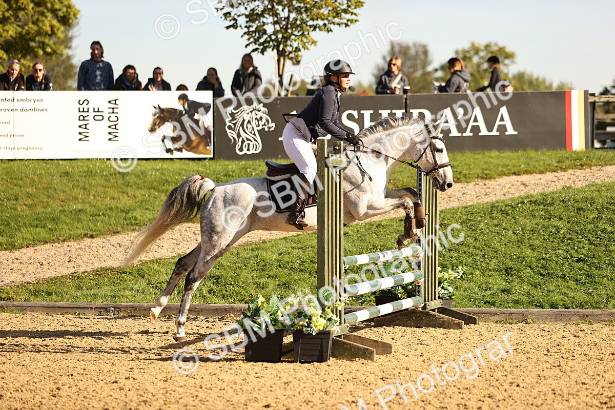 SBM_35110 - J38 - Senior 80cm Championship