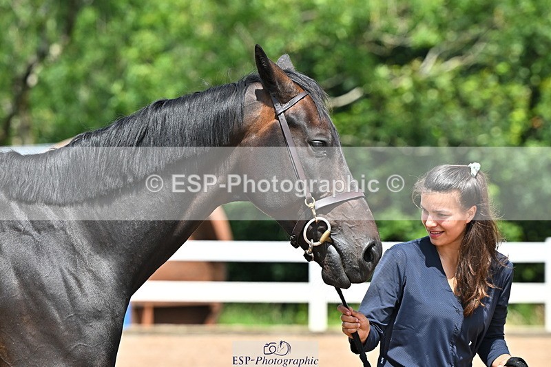 240718A-105316-01769 - Trot Up 1pm to 2pm