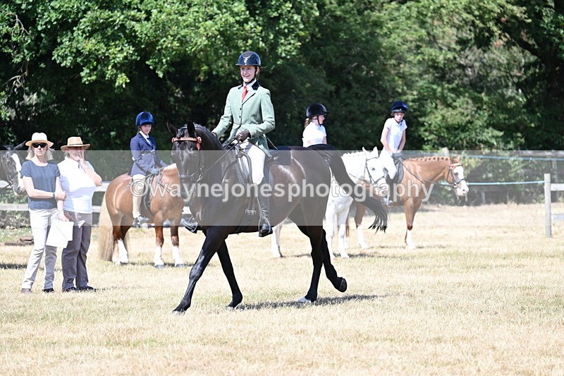 WJ7_3574 - Class 8 Ridden Veterans