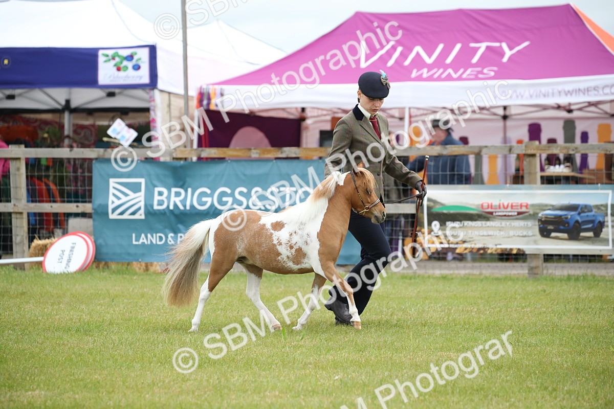 SBM_03927 - Class 23-25 - British Miniature Horse of the Year
