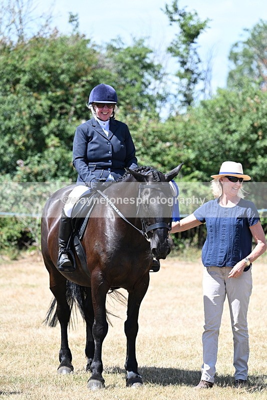 WJ7_3182 - Class 7 Riding Club Show Horse