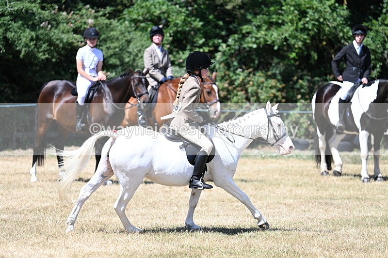 WJ7_3659 - Class 8 Ridden Veterans