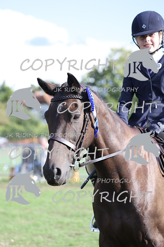 APP_4196 - Class 15a/b Pony club pony/Riding club horse