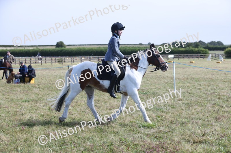 20250831-2474 - Class 16 - Family Pony