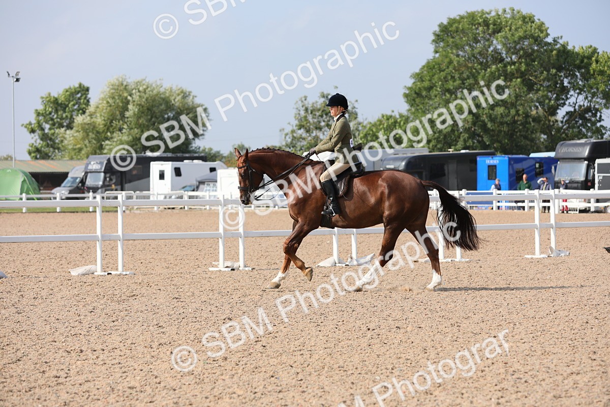 SBM_11380 - Class 305 Ridden Foreign Breeds- Pure Bred