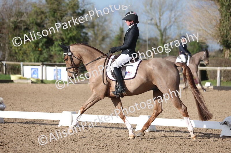 20260128-0472 - Class 4 - Novice 5