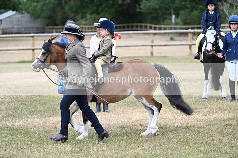WJ7_9807 - Class 1 Lead Rein Pony