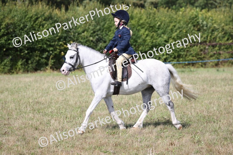 20260906-3018 - Class 18 - Childs First Pony