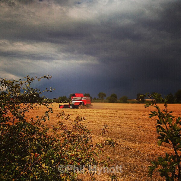 PhotoMynottART040 - Photo Mynott ART Images