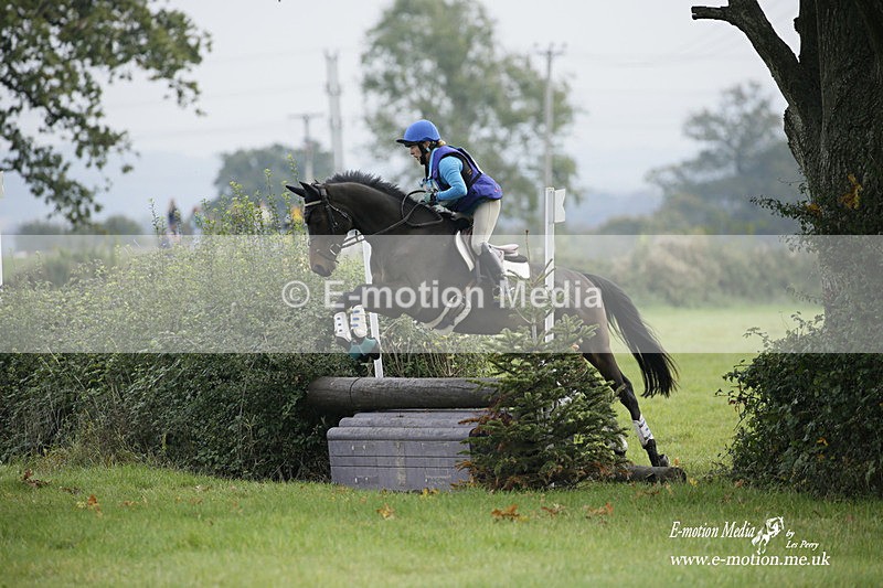  WWHT 171021 1022 - Open Novice (0.80m)  17/10/21