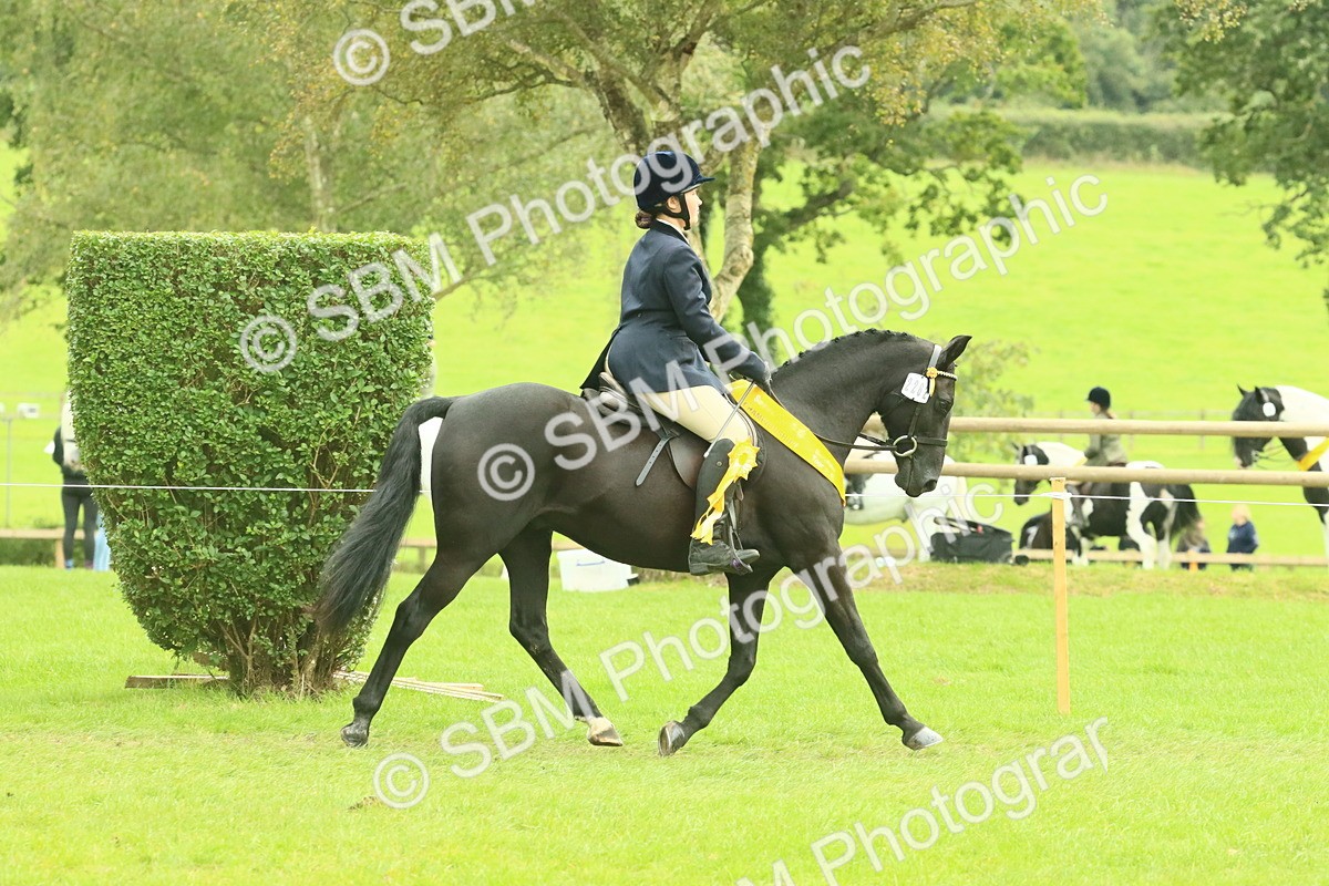 SBM_74987 - Ridden Pony Supreme Championship