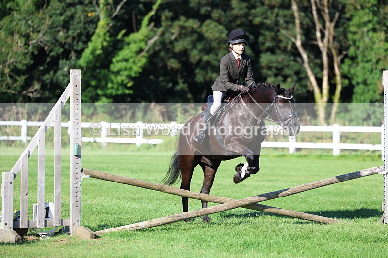 3E7A7472 - Class 1: Novice Working Hunter Pony