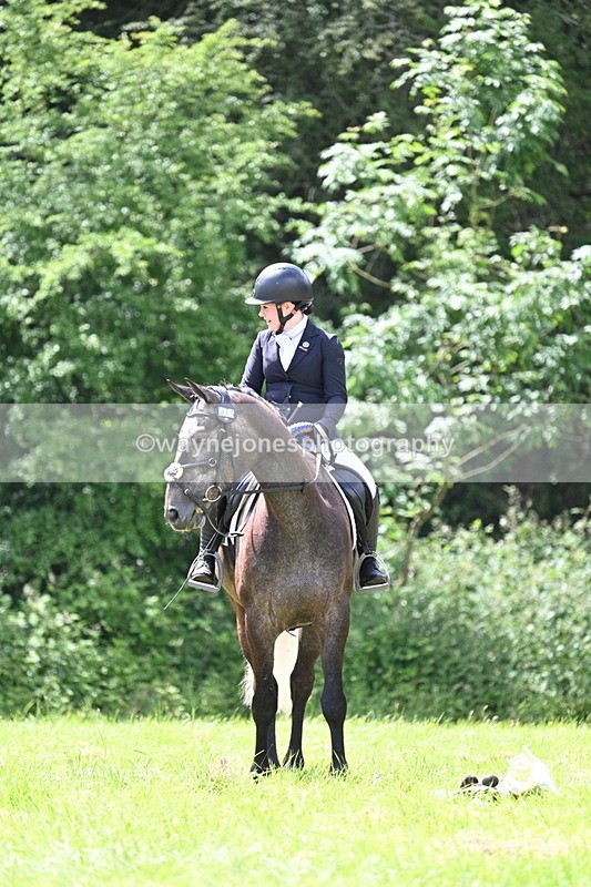 WJ7_2691 - Class 12A Coloured Class