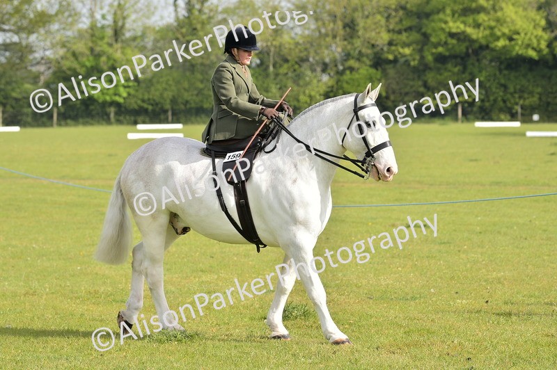 20260426-0851 - Class 18 - Novice Showing