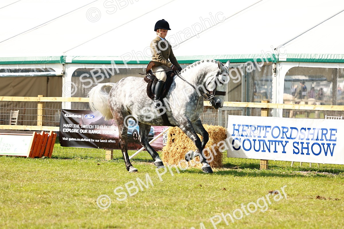 SBM_11948 - Class 66-69 - RIHS Ridden Hunters Inc Small Hunter