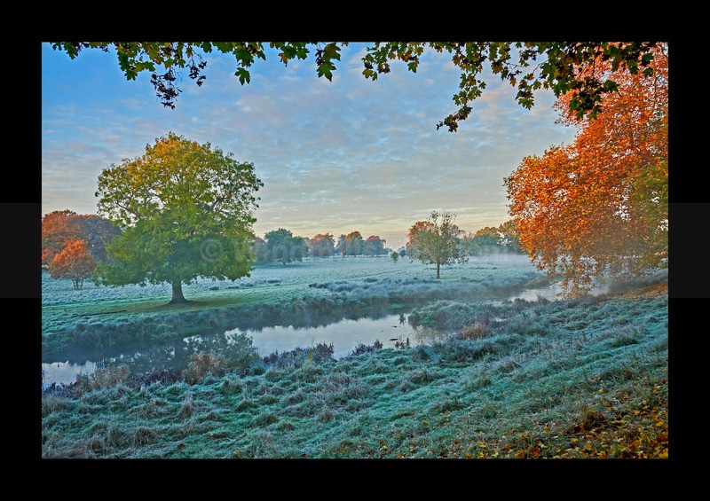 Frosty - Land