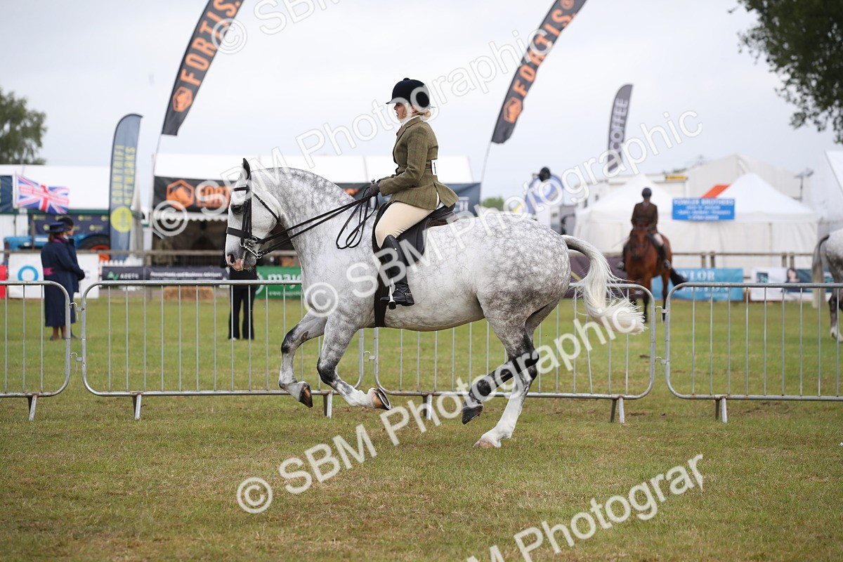SBM_11097 - Class 92-93 - LIHS BSHA Rising Star Cobs