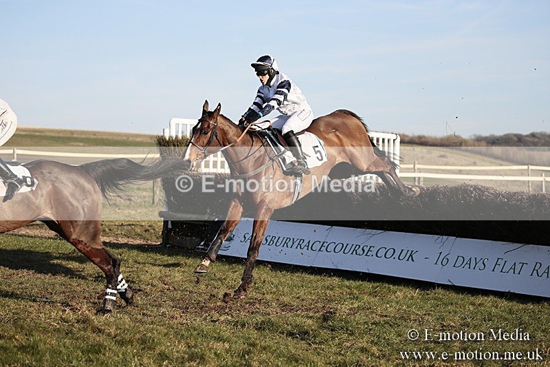 PtP 240218 708 - Vine & Craven Hunt Point-to-Point Barbury racecourse 24/02/18