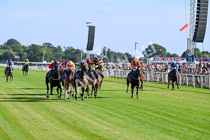 240726-Race 2-Vaguely Royal-5080 - Race 2 18.05pm Elevator Company Handicap