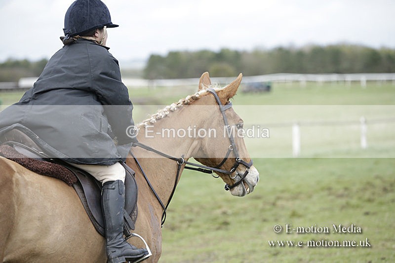 PtP 150320 0660 - New Forest Point-to-Point Larkhill 15/03/20