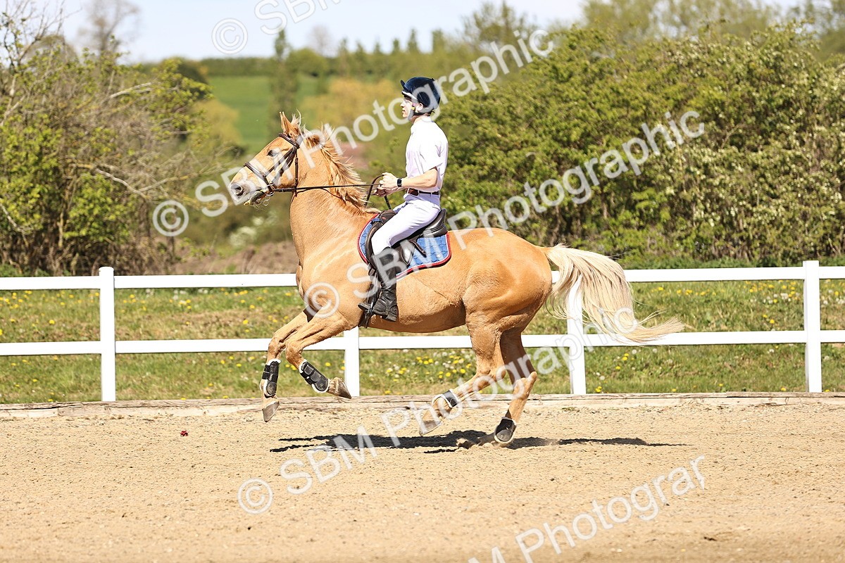 SBM_003082 - 90cm