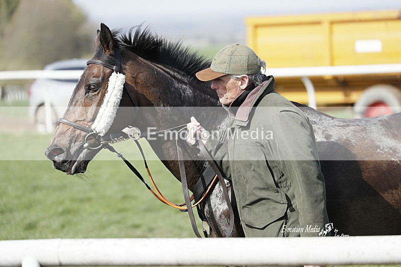 PtP 100423 804 - Old Berkshire Point-to-Point Lockinge 10/04/23