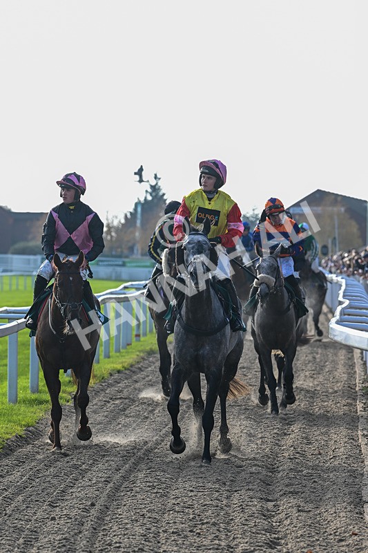 151124-Race 1-GVs-7304 - Race 1