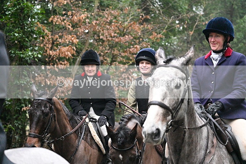 WJ7_3941 - In-between lines