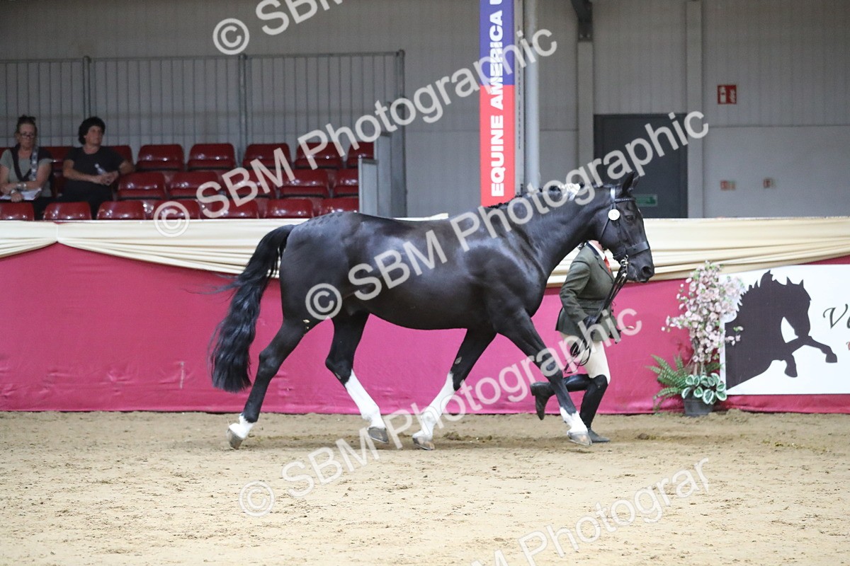SBM_06377 - Class 9R Regional- IH Pre Vet