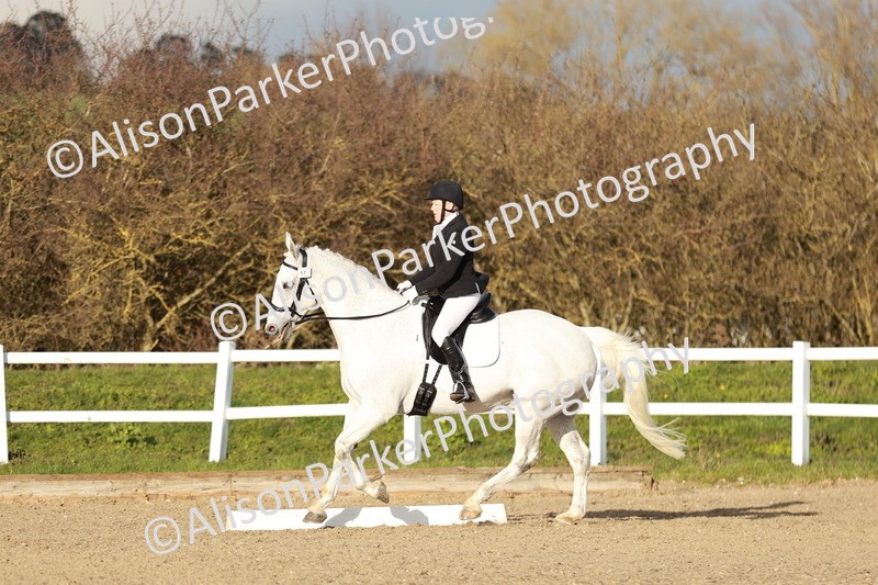 20260314-6279 - CT7 - Elementary 2