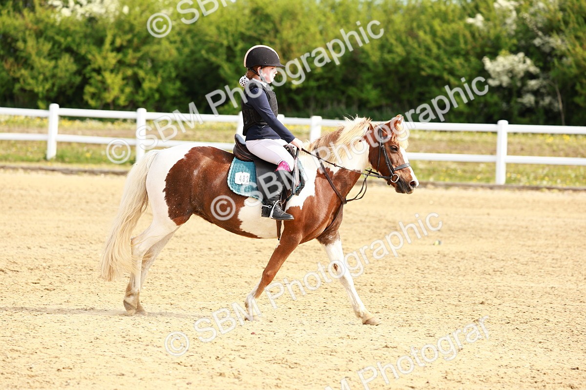 SBM_006463 - Class 1 - 40cm