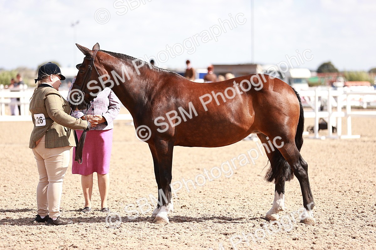 SBM_23001 - Class 707 - IH groom Helpers Class