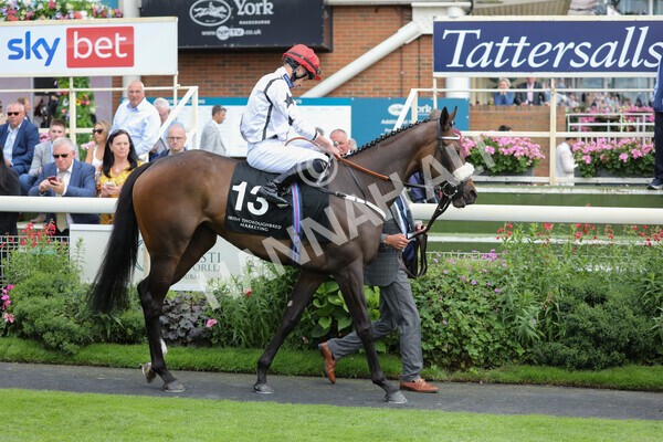 yr17082022r6-10 - Race 6 4.45 pm Celebrate ITM’s 200th IRE Voucher Winner Stakes