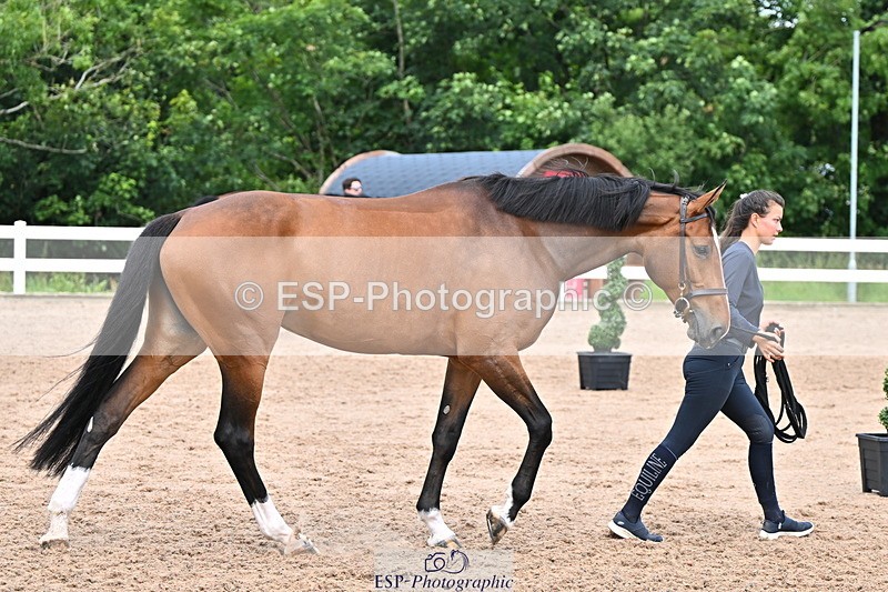 240718A-105321-01882 - Trot Up 1pm to 2pm