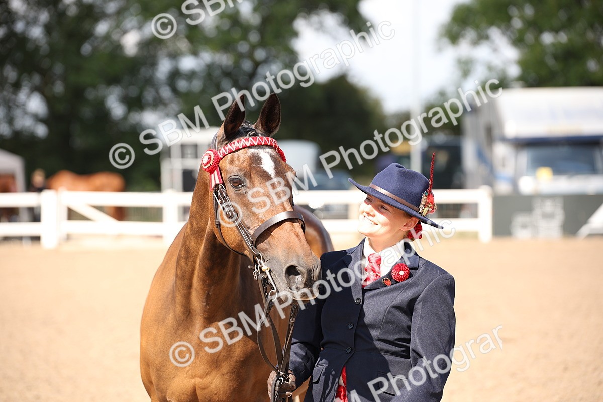 SBM_03056 - Class 17 Prettiest Mare IH or Ridden