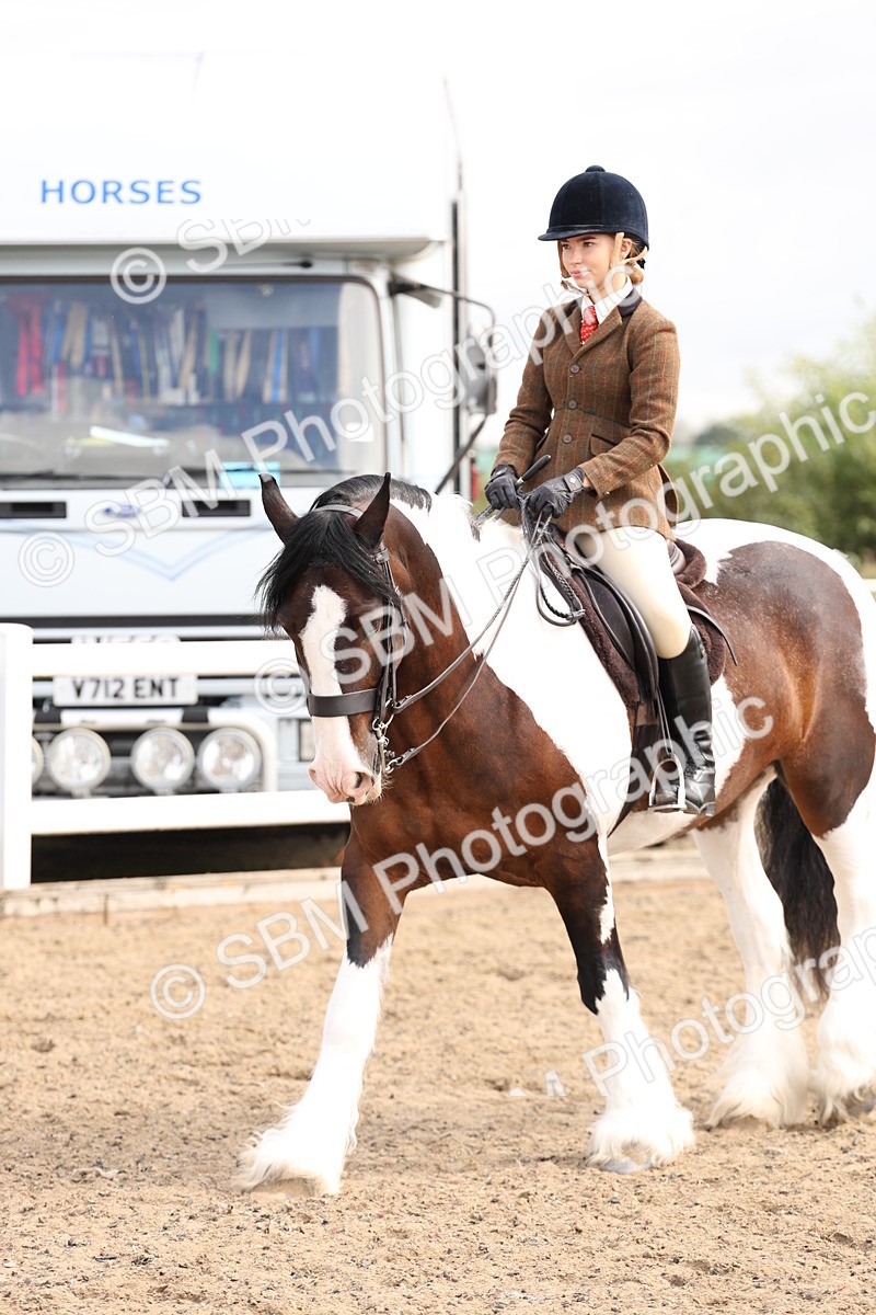 SBM_04264 - Class 54 - Riding Club Horse/Pony