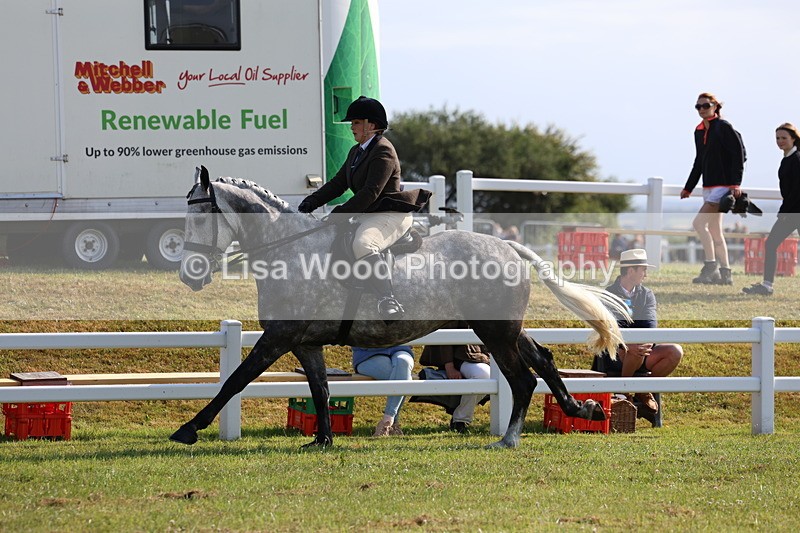 3E7A8643 - Class 3: Rising Star S/L Hunter