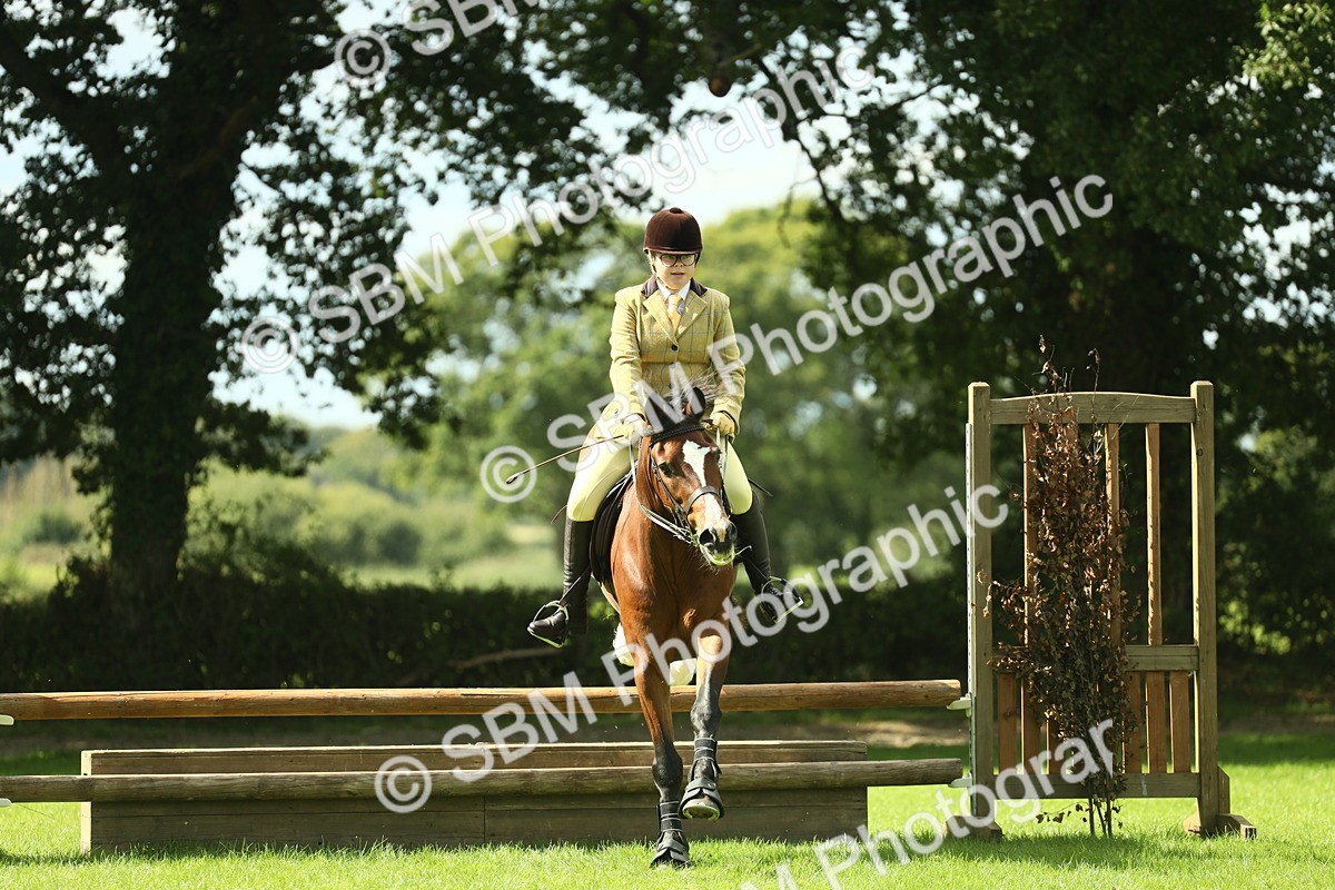 SBM_42968 - S30 - M&M Working hunter Pony