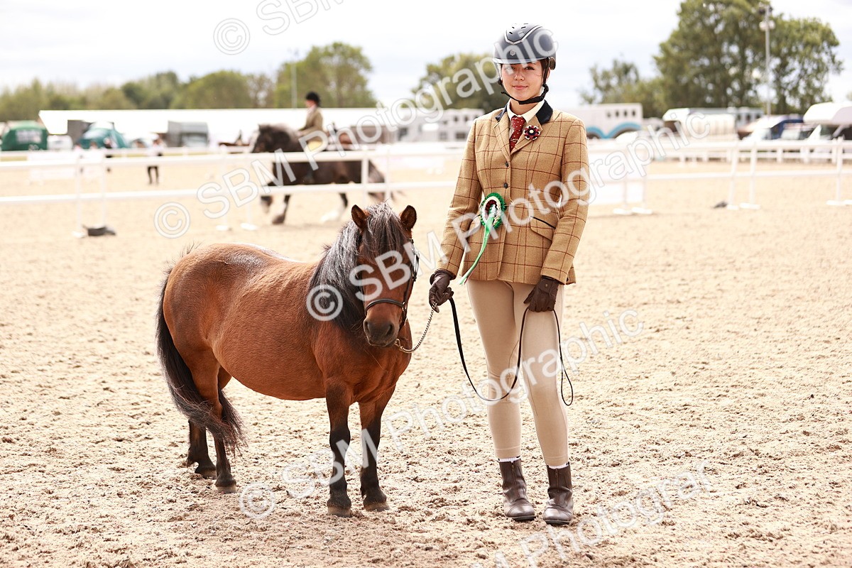 SBM_18273 - Class 416 - Prettiest Mare (IH or Ridden)Jnr