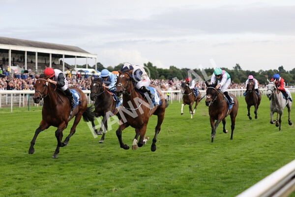yr19082021r6-15 - Race 6 4.45pm British EBF & Sir Henry Cecil Galtres Stakes