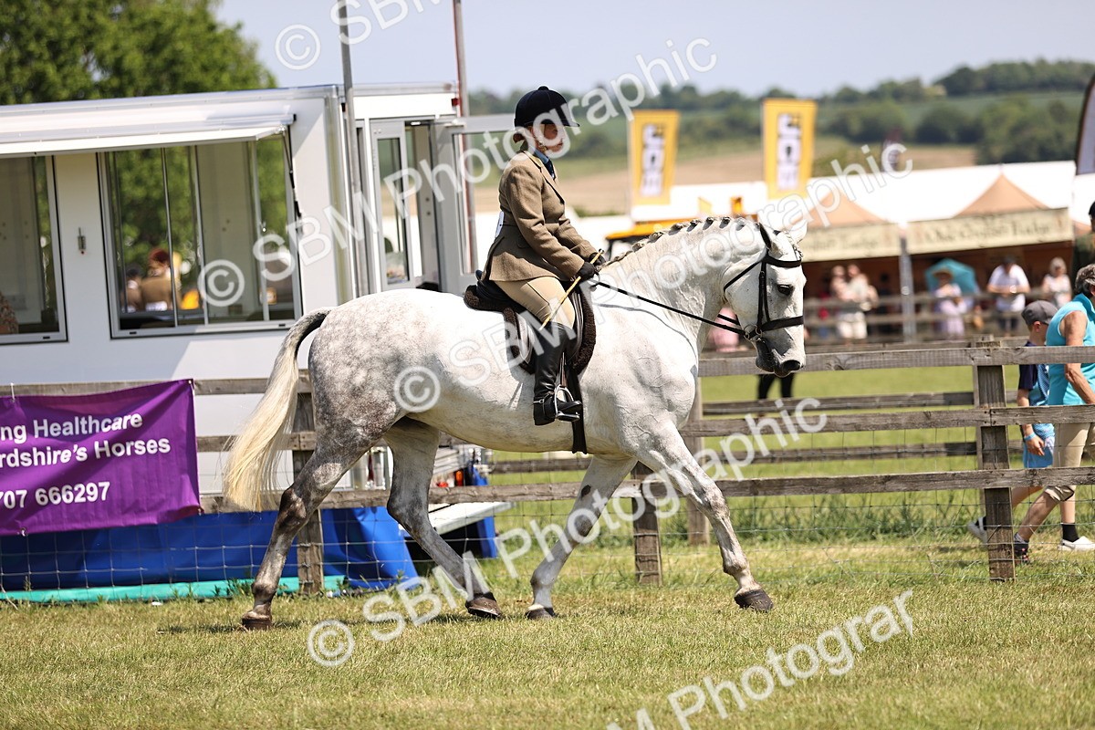 SBM_15038 - Class 79-80 - LIHS BSHA Rising Star Ridden Hunter