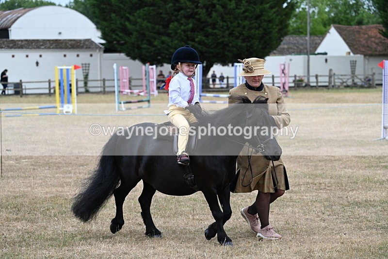 WJ7_8514 - Class 4 Prettiest Mare up to 14.2hh