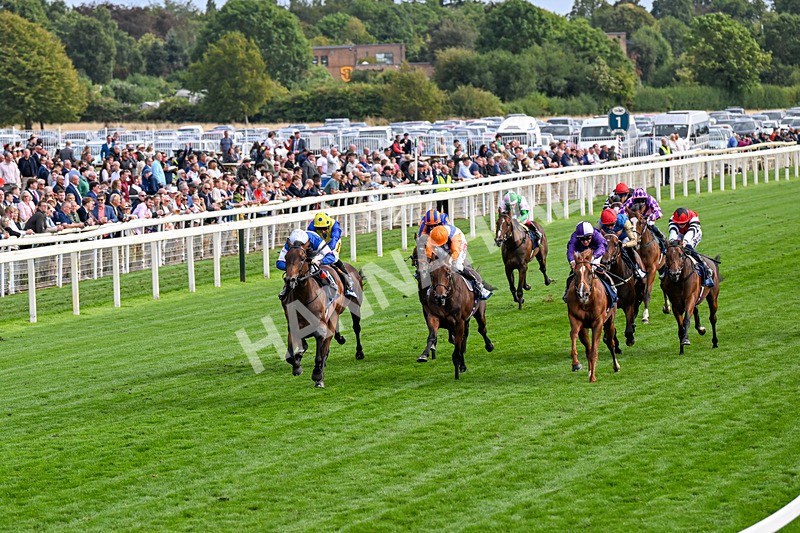 210826-Race 6-Benjamin Hornigold-0349 - Race 6 16.45pm British Stallion Studs EBF Convivial Maiden Stakes