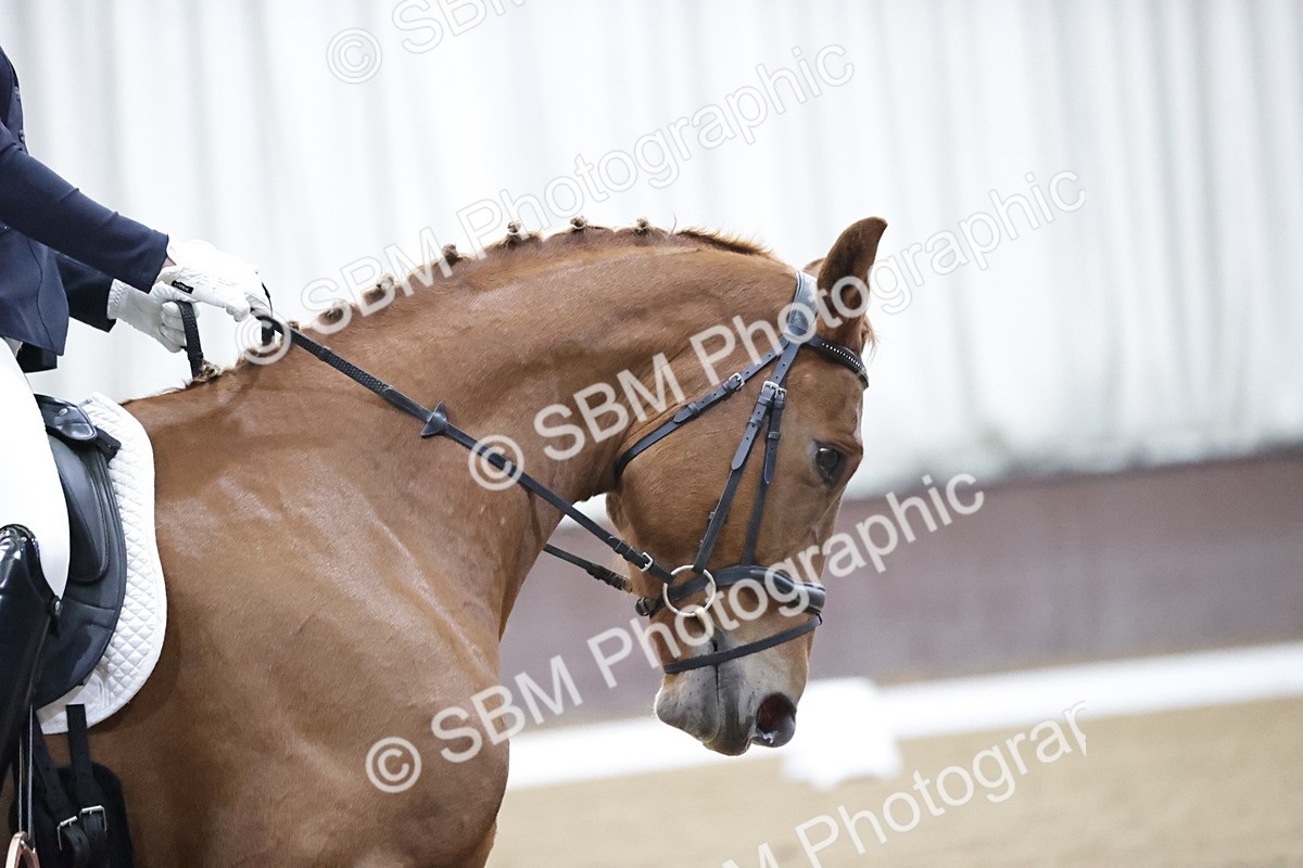 SBM_006464 - Class 1 - Prelim 4