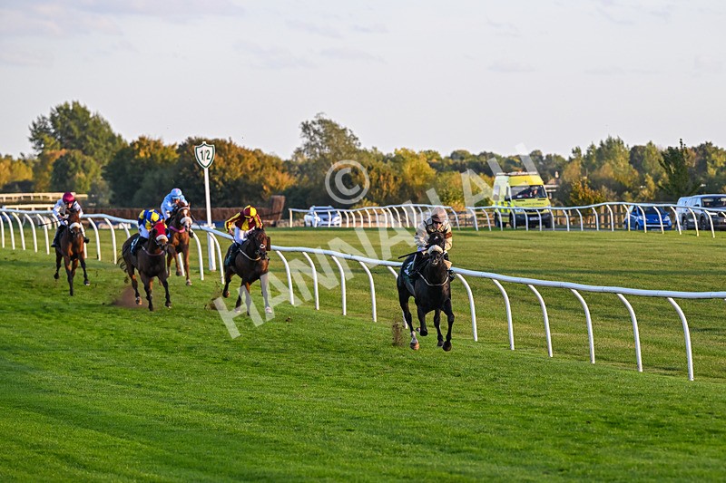 300926-Race 8-Jojo Rabbit-7165 - Race 8 5.55pm Racing Again 17th October Amateur Jockeys' Handicap